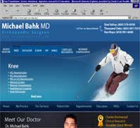 Michael Bahk MD